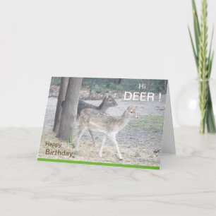 Cartão de Saudação de Aniversário de Deer Fallow