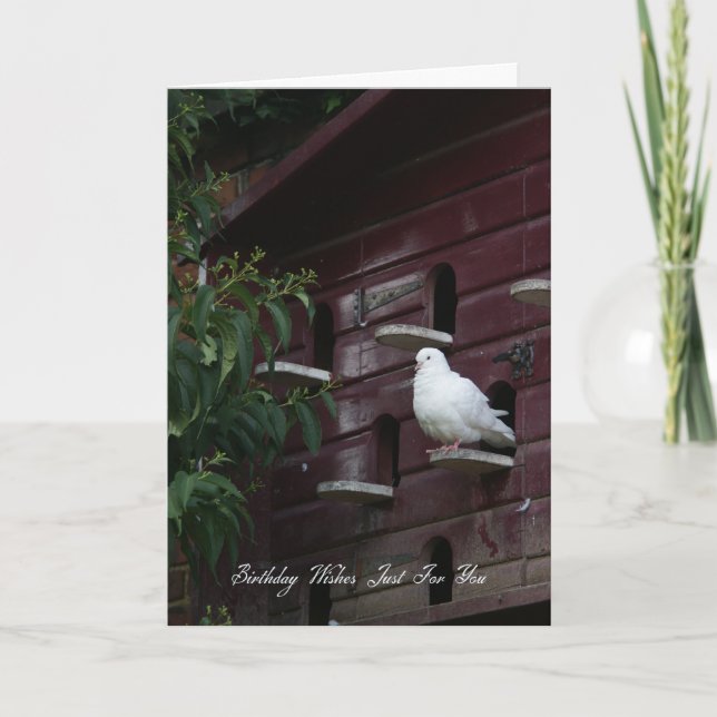 Cartão de Saudação de Aniversário de Dove (Frente)