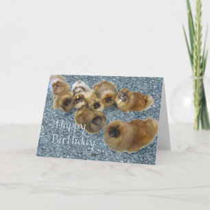 Cartão de Saudação de Aniversário de Pekingese