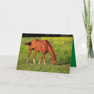 Cartão de Saudação de Aniversário do Cavalo do Kan