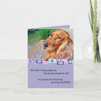 Cartão de Saudação de Aniversário do Cocker Spanie