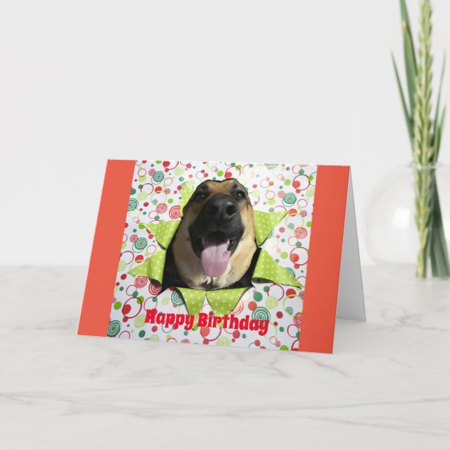 Cartão de Saudação de Aniversário do German shephe (Frente)