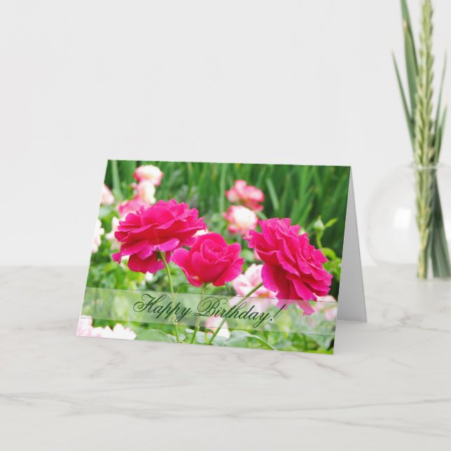 Cartão de saudação de aniversário do Rosa vermelha (Frente)