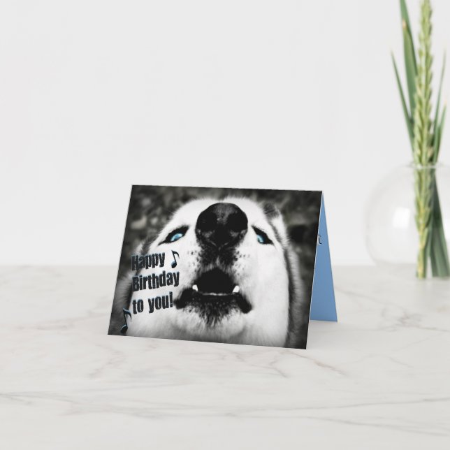 Cartão de Saudação de Aniversário Humorístico (Frente)