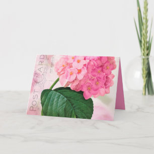 Cartão de Saudação de Aniversário para o Hydrangea