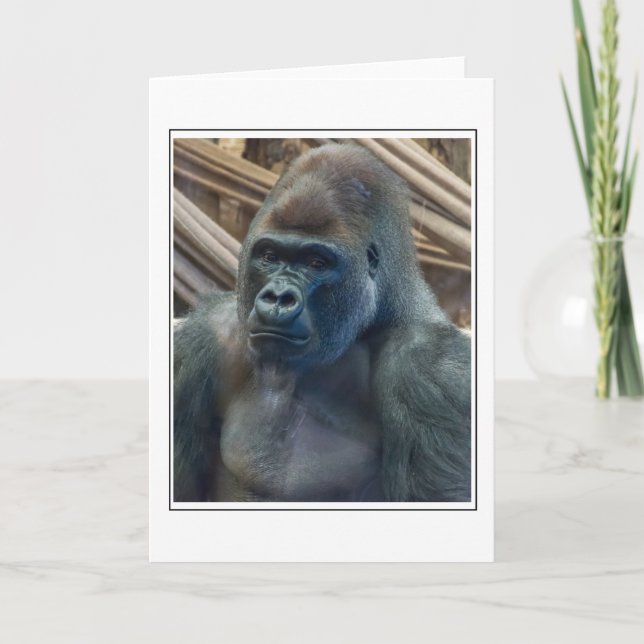 Cartão de saudação de aproximação do Gorilla up (Frente)