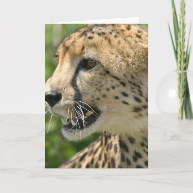 Cartão de Saudação de Ataque Cheetah (Frente)