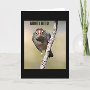 Cartão de Saudação de Aves Humoristas