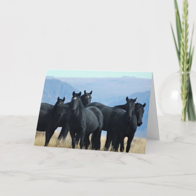 Cartão de Saudação de Banda Voodoo (Frente)