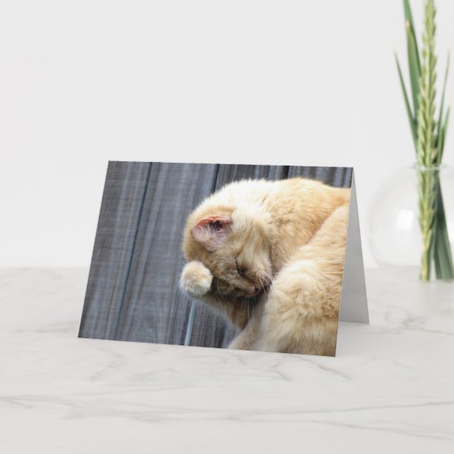 Cartão de Saudação de Bela (Frente)