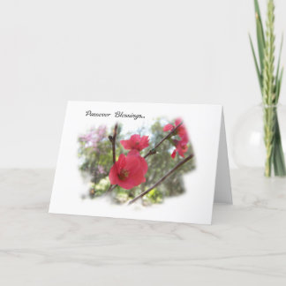 Cartão de Saudação de Blossomas de Passover de pri