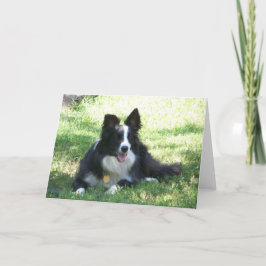 Cartão de Saudação de Borda Collie