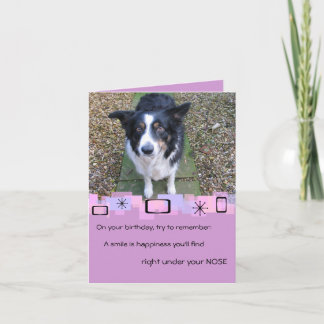 Cartão de Saudação de Borda Collie Birthday