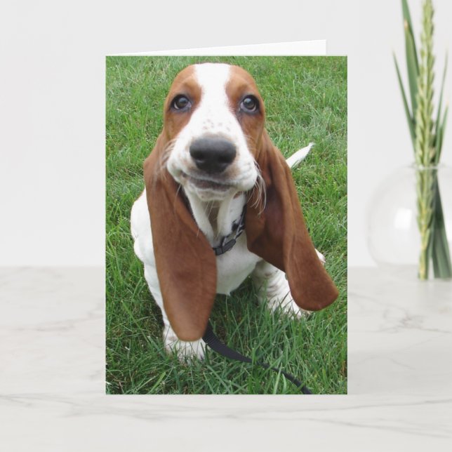 Cartão de Saudação de Caça-Caça Goofy Basset (Frente)