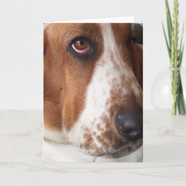Cartão de Saudação de Cachorro de Cachorro (Frente)