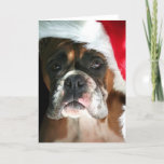 Cartão de saudação de Cachorro de Natal<br><div class="desc">Cartão de saudação de cão de boxe de Natal</div>