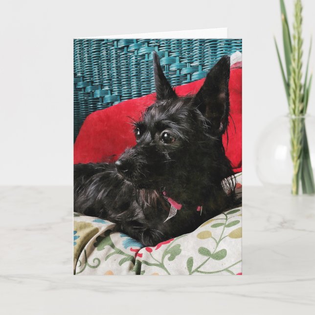 Cartão de Saudação de Cachorro Doce (Frente)
