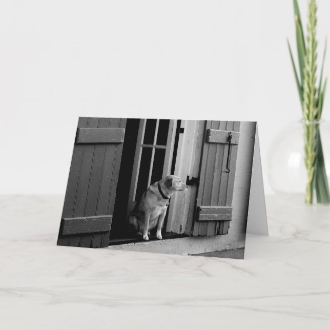 Cartão de Saudação de Cachorro Sortudo Personalizá (Frente)