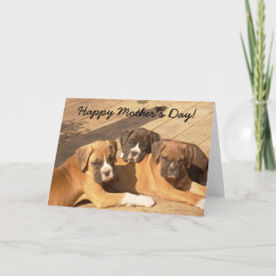 Cartão de saudação de cachorros Boxer de Dia de as
