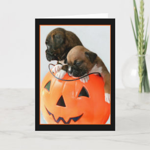 Cartão de saudação de cachorros Boxer do Halloween