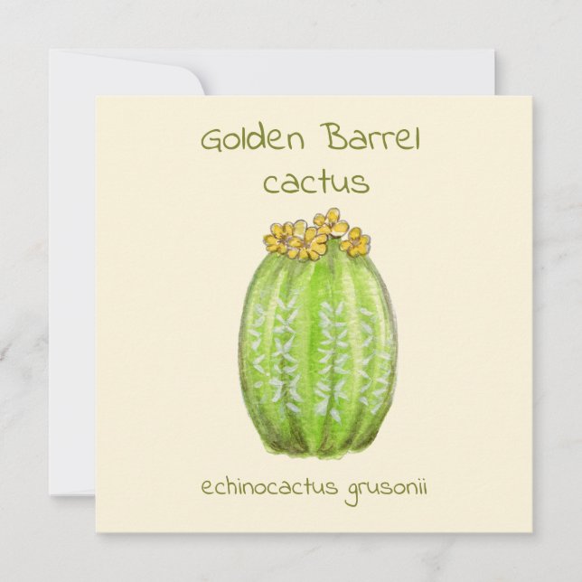 cartão de saudação de cacto de barril dourado (Frente)