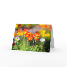 Cartão de saudação de campo de preenchimento