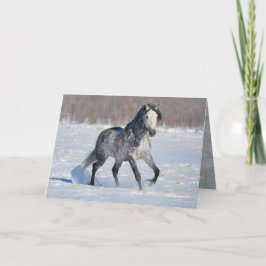 Cartão de Saudação de Cavalo - Cinza Dormida