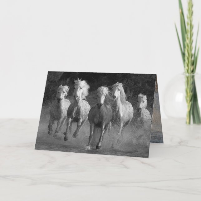 Cartão de Saudação de Cavalo de Corrida de Água (Frente)