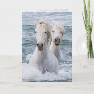 Cartão de Saudação de Cavalo - Gêmeos de Cavalos d