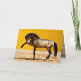 Cartão de Saudação de Cavalo Lusitano Stallion
