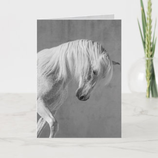 Cartão de Saudação de Cavalo - O Estalão Branco Ol