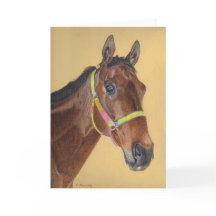 Cartão de saudação de cavalos puro