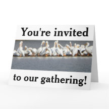 Cartão de saudação de convite, Pelicanos