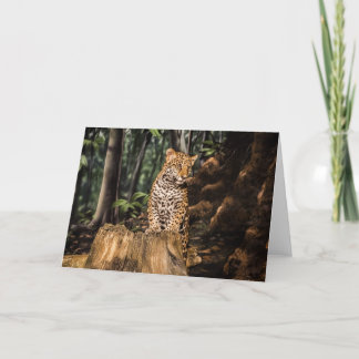 Cartão de Saudação de Cub Jaguar