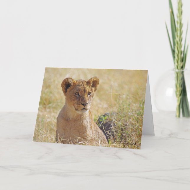 Cartão de Saudação de Cubo Lion (Frente)