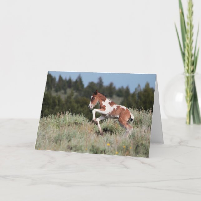 Cartão de Saudação de Dança de Chuva (Frente)