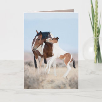 Cartão de Saudação de Dawn Wild Horse
