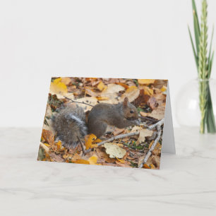 Cartão de saudação de dentro vazio Squirrel