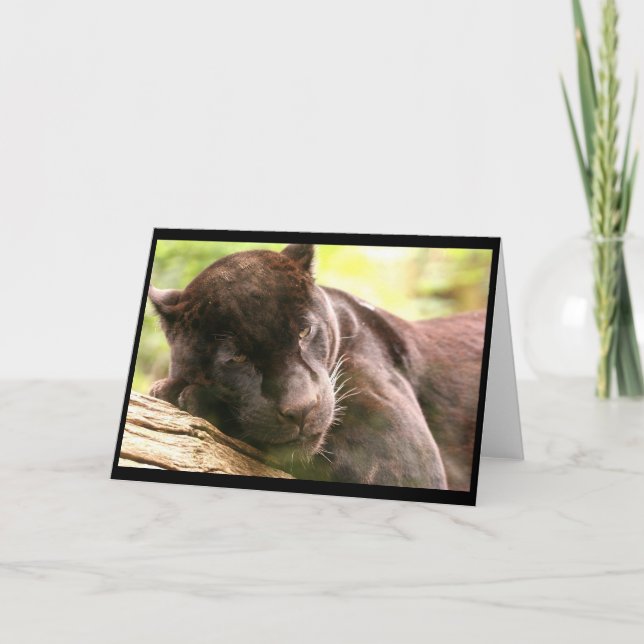 Cartão de saudação de dormência preto (Frente)