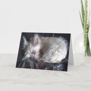 Cartão de Saudação de Dormir com Urso de Açúcar