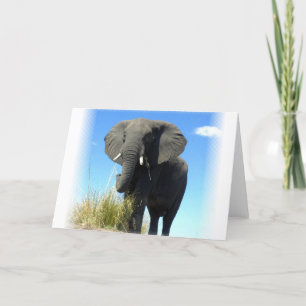 Cartão de Saudação de Elefante Africano