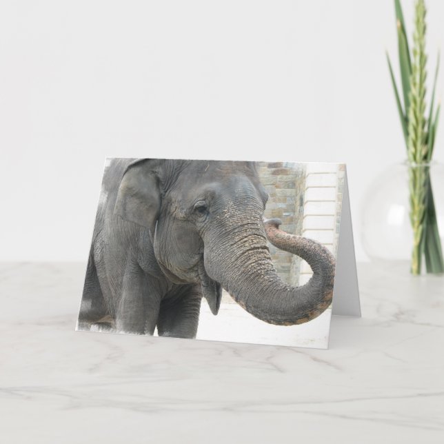 Cartão de saudação de elefante de trompete (Frente)