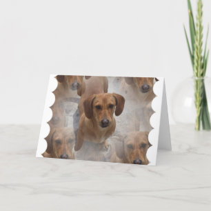 Cartão de Saudação de Emergência Dachshund