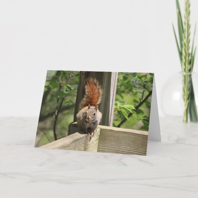 Cartão de Saudação de Esquilo (Frente)