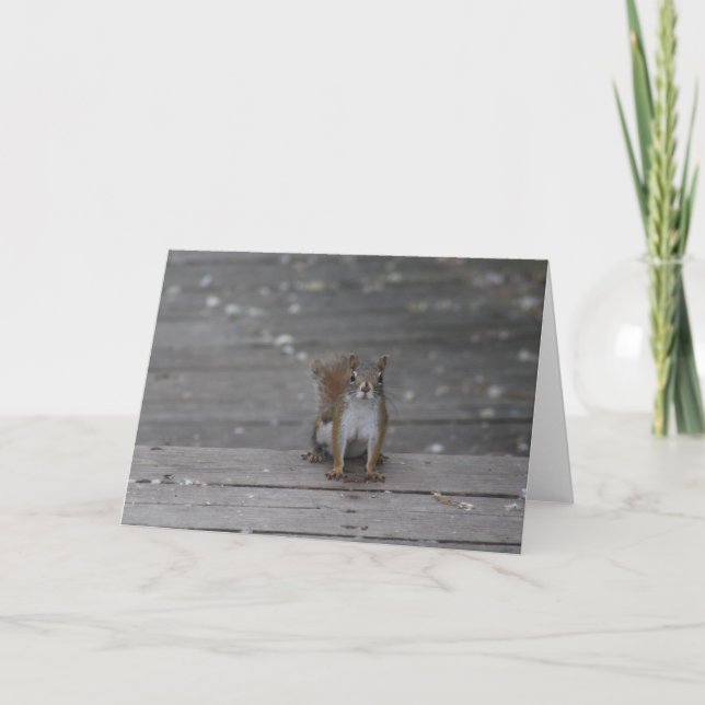 Cartão de saudação de esquilo (Frente)