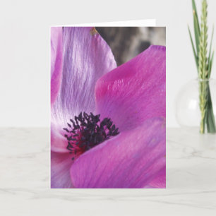 Cartão de Saudação de Fechamento Anemone