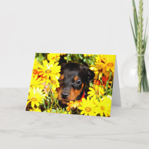 Cartão de saudação de filhotes doberman