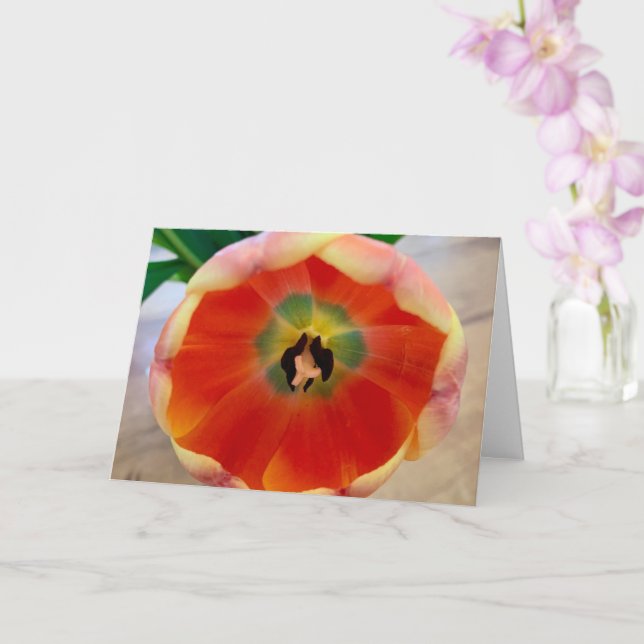 Cartão de Saudação de Flor (Orquídea)