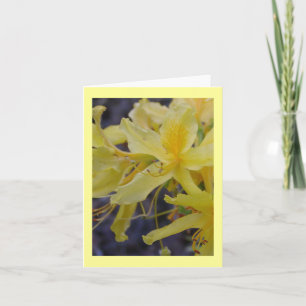 Cartão de saudação de flor Amarelo Azalea