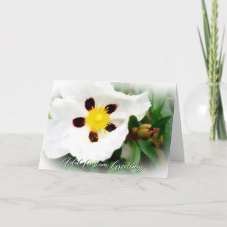 Cartão de Saudação de Flor Branca Puro e Brilhante